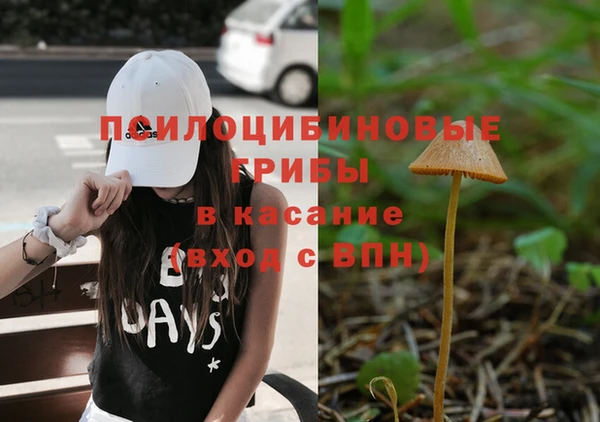 MESCALINE Корсаков