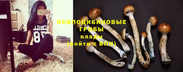 MESCALINE Корсаков