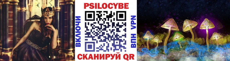 Псилоцибиновые грибы MAGIC MUSHROOMS  купить  цена  Магадан 