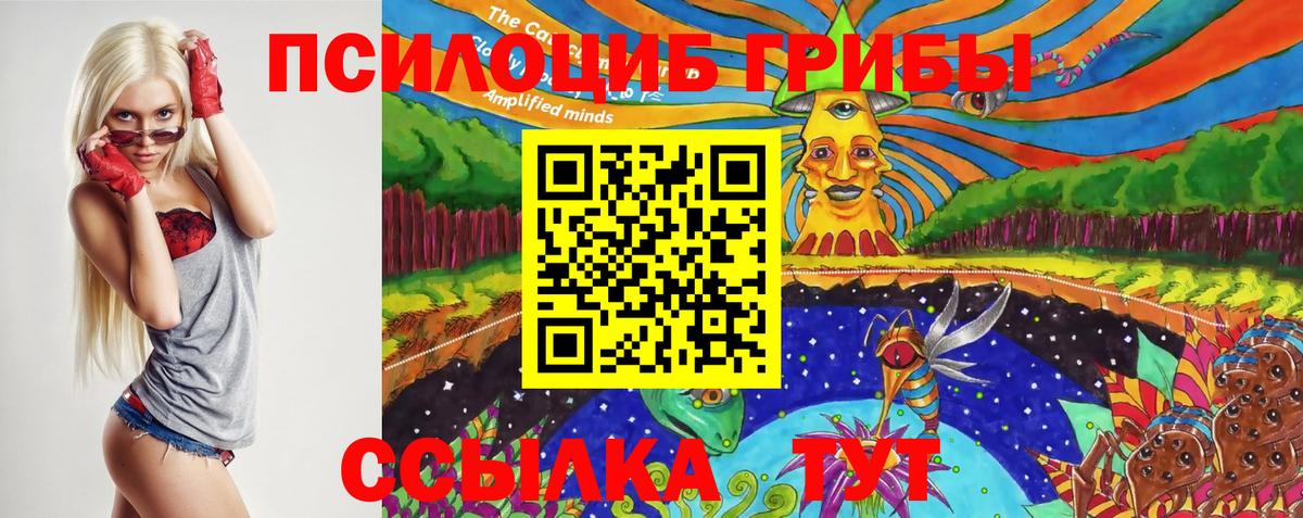 Псилоцибиновые грибы прущие грибы  Вход с VPN  Магадан  Галлюциногенные грибы Psilocybine cubensis 