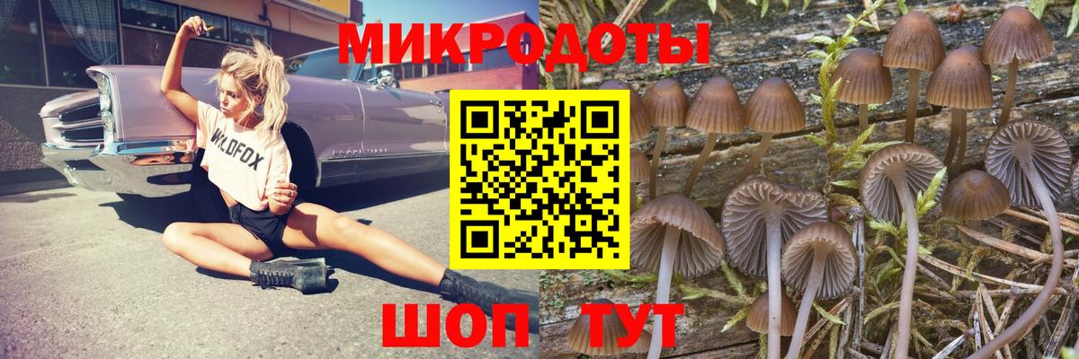 Галлюциногенные грибы Cubensis Магадан